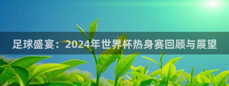 2026 世界杯：足球盛宴：2024年世界杯热身赛回顾与展望