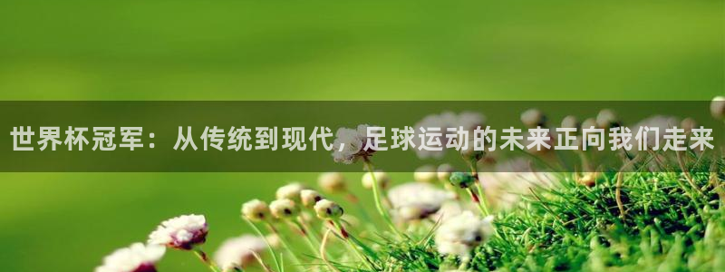 2026年足球世界杯赛程时间表：世界杯冠军：从传统到现代，足球运动的未来正向我们走来