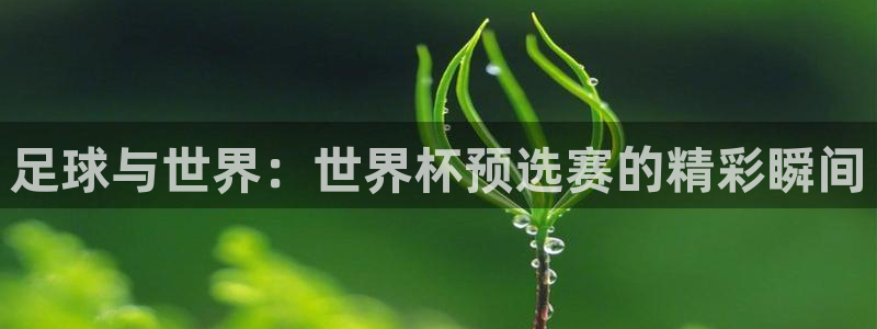 2026男足世界杯赛程：足球与世界：世界杯预选赛的精彩瞬间