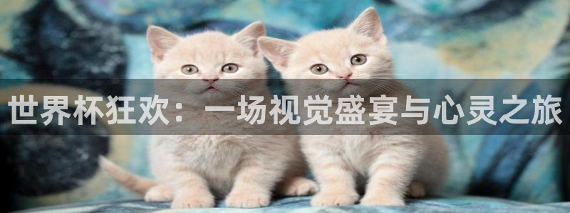 世界杯亚洲区预选赛：世界杯狂欢：一场视觉盛宴与心灵之旅