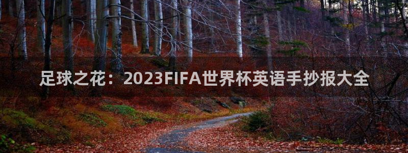 欧洲世界杯预选赛赛程：足球之花：2023FIFA世界杯英语手抄报大全