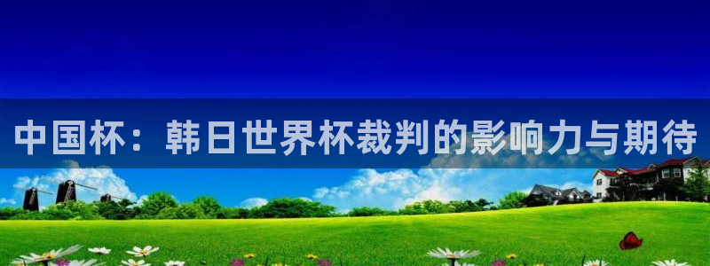 亚洲区世界杯预选赛：中国杯：韩日世界杯裁判的影响力与期待