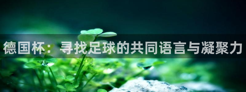 世界杯2026赛程：德国杯：寻找足球的共同语言与凝聚力