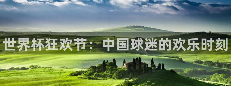 2026男足世界杯：世界杯狂欢节：中国球迷的欢乐时刻