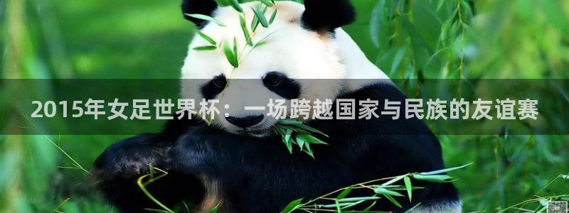 世界杯预选赛亚洲区赛程：2015年女足世界杯：一场跨越国家与民族的友谊赛
