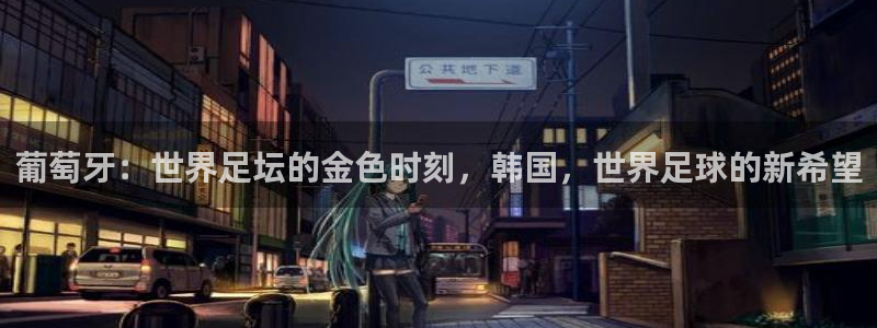 世界杯足球比赛：葡萄牙：世界足坛的金色时刻，韩国，世界足球的新希望