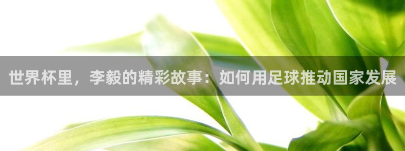 世界杯足球赛：世界杯里，李毅的精彩故事：如何用足球推动国家发展