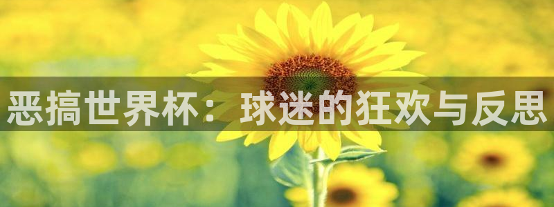 足球世界杯2026年赛程时间表：恶搞世界杯：球迷的狂欢与反思