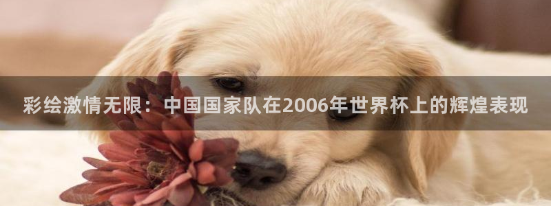 2026世界杯倒计时：彩绘激情无限：中国国家队在2006年世界杯上的辉煌表现