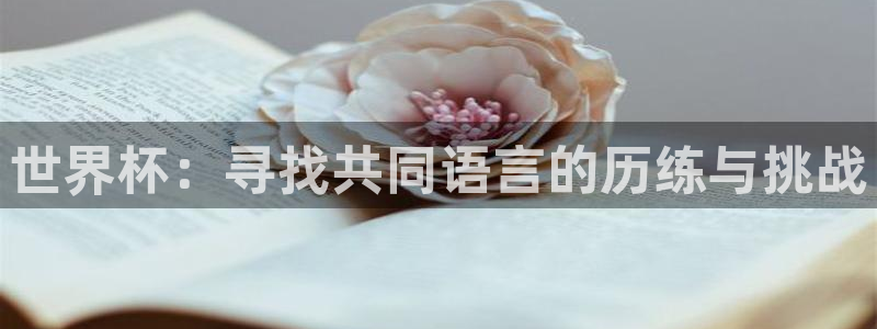 2026年男足世界杯：世界杯：寻找共同语言的历练与挑战