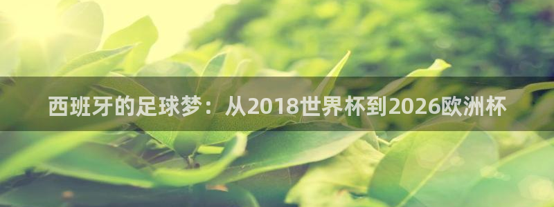 世界杯直播高清：西班牙的足球梦：从2018世界杯到2026欧洲杯