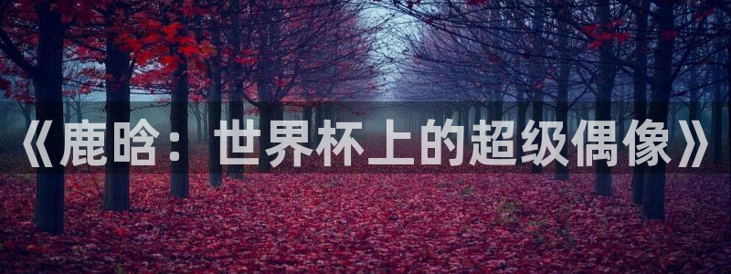 世界杯比赛：《鹿晗：世界杯上的超级偶像》