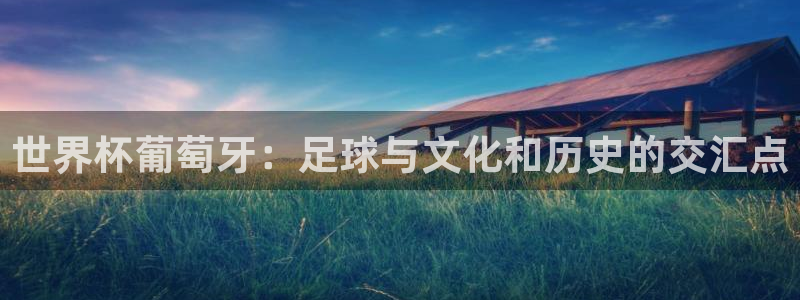世界杯足球2026：世界杯葡萄牙：足球与文化和历史的交汇点